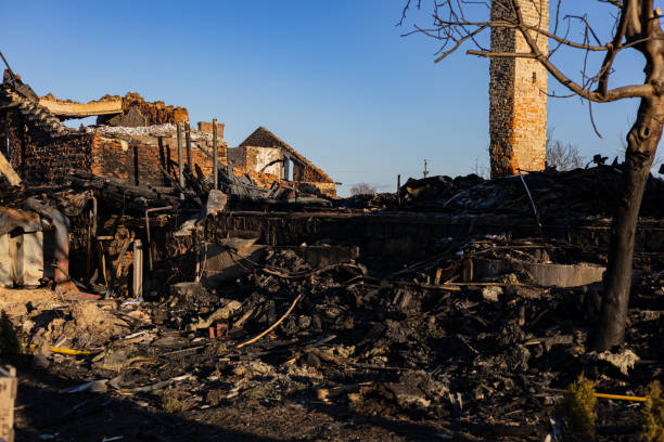 Reliable Fire Damage Restoration contractor in Longwood, FL by Fire Damage Doption